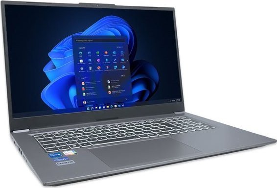 Laptop Terra Mobile 1717R, 17.3", Intel Core i7, 16GB RAM, gri