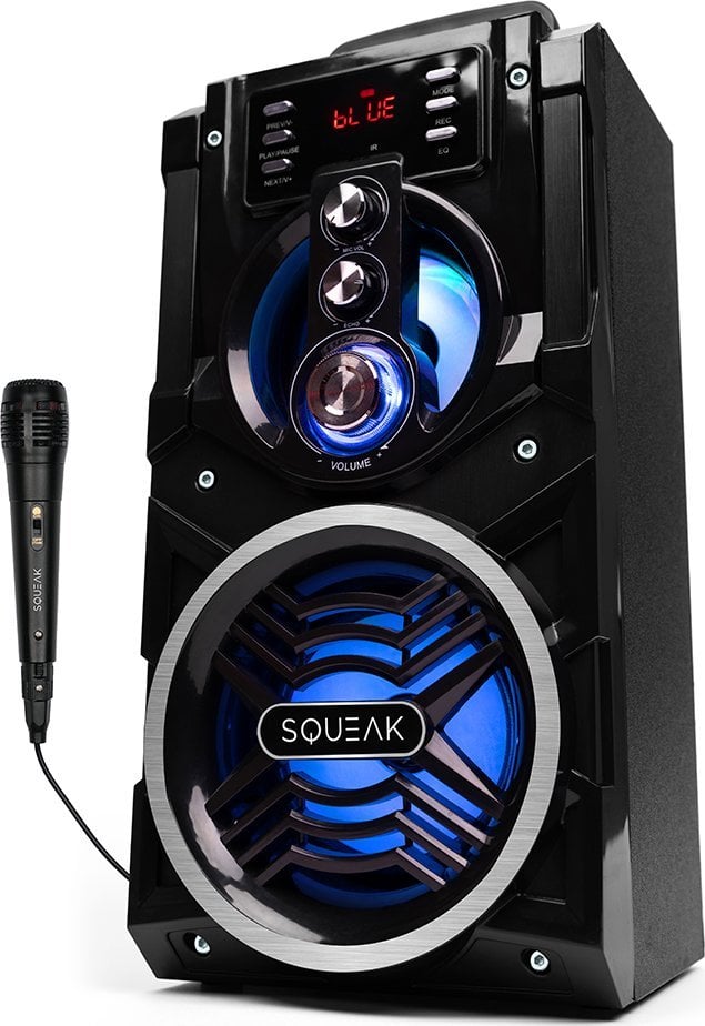 Kaltoparlant Bluetooth Squeak BeatBoxer SQ1000, karaoke, radio FM, i zi