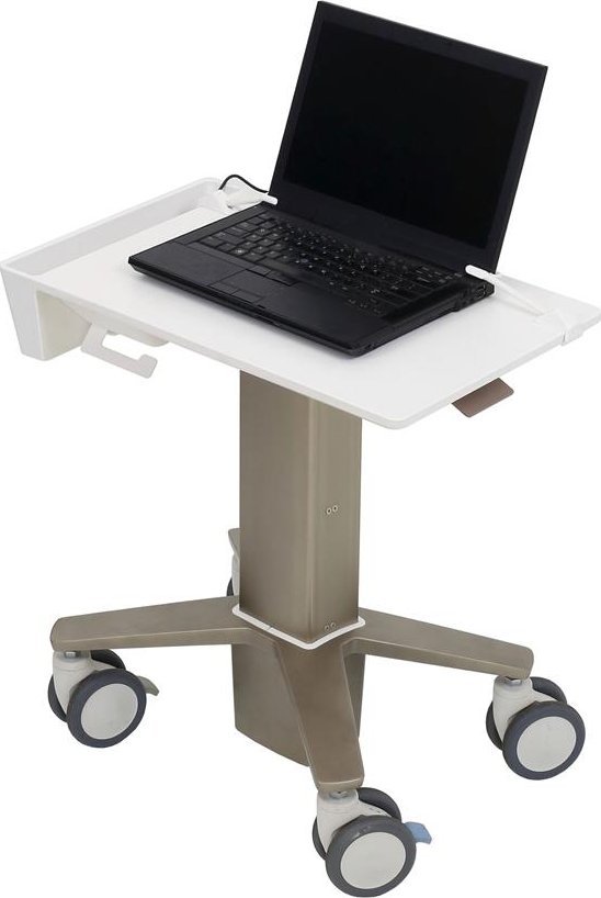 Karroca për laptop Ergotron C50-1100-0, 15.6", e gri