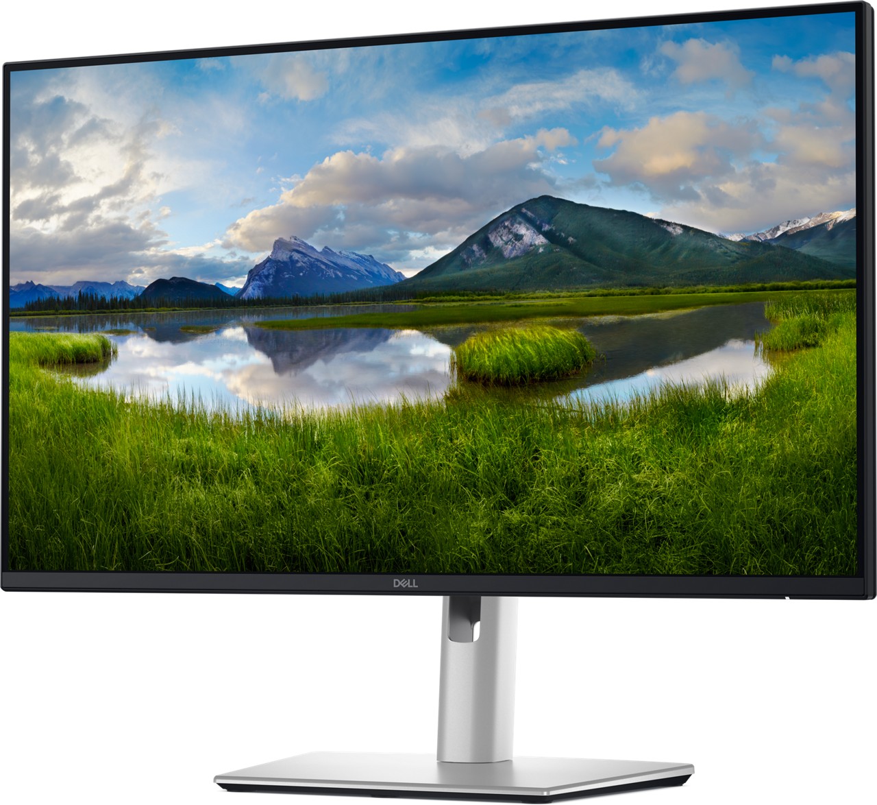 Monitor DELL Pro Plus P2425D, 24", QHD, LCD, i zi/i argjendtë