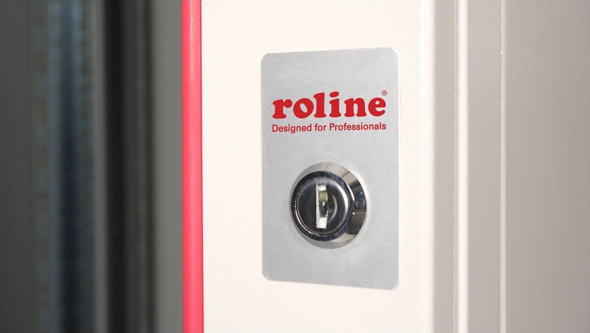 Kabinet muri ROLINE Wall Enclosure Pro 12U, 19", 48.26cm, gri