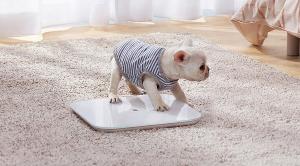 [OUTLET] Peshore Xiaomi Mi Smart 2, e bardhë