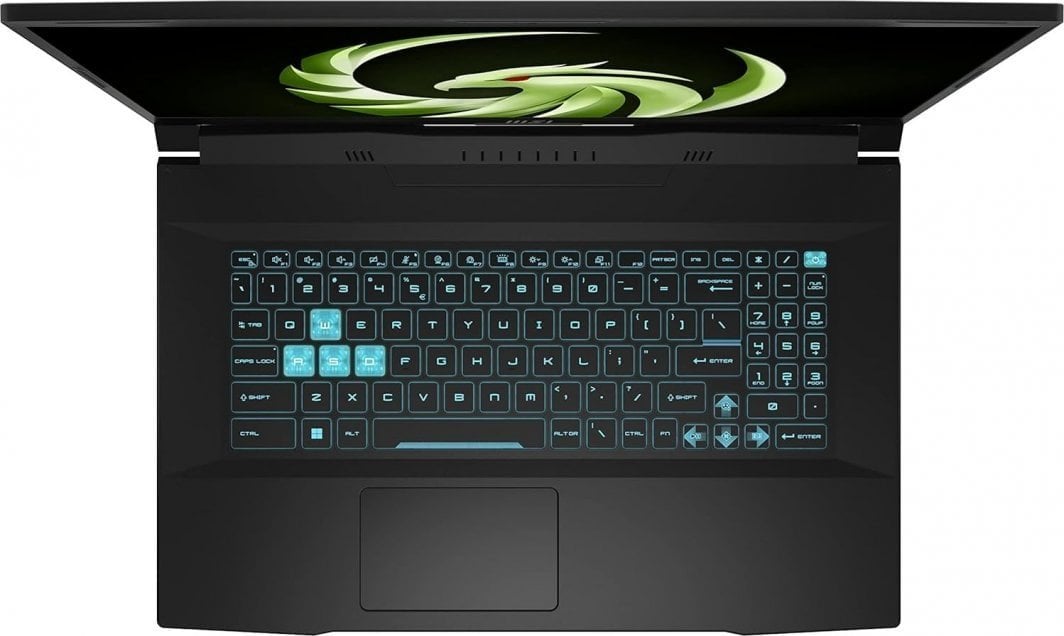 Laptop MSI Bravo 17 D7VEK-092XPL, 17.3", AMD Ryzen 5 7535HS, 16 GB RAM, 1 TB SSD, NVIDIA GeForce RTX 4050, i zi