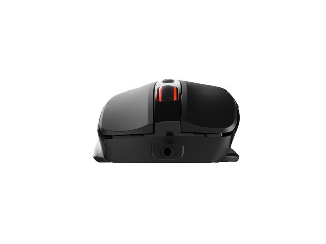 Maus Natec PIGEON 2, USB, i zi