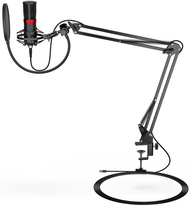 Mikrofon Endorphy Streaming, i zi