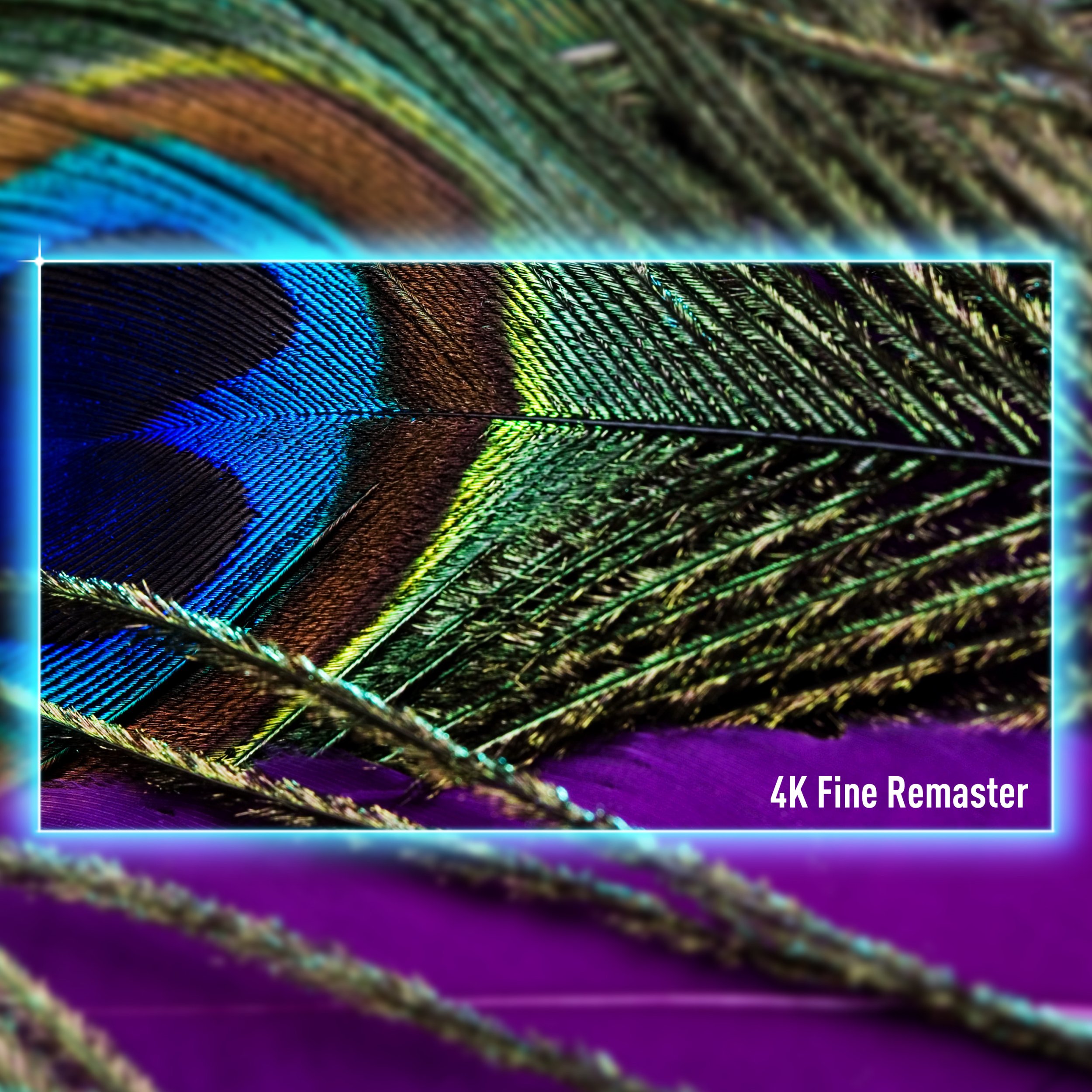 Televizor Panasonic TV-55W90AEG, 55", LCD LED, i zi