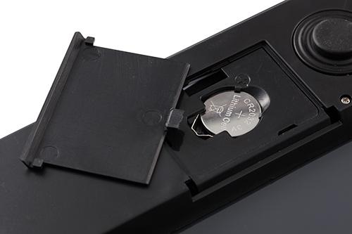 Peshore Adler, 8157W 