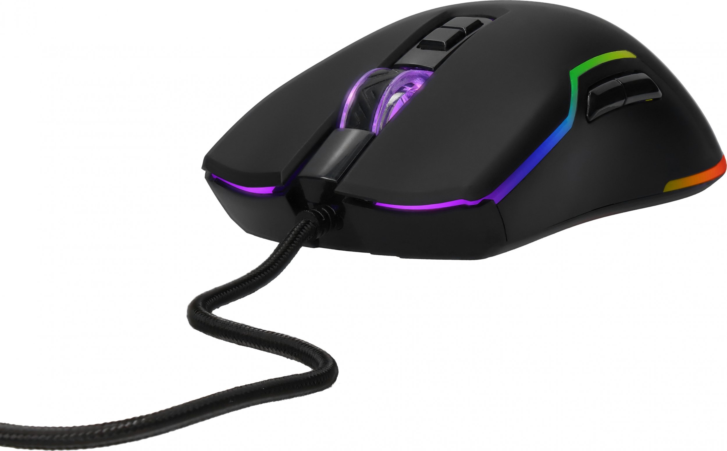 Maus Preyon Condor Classic, i zi