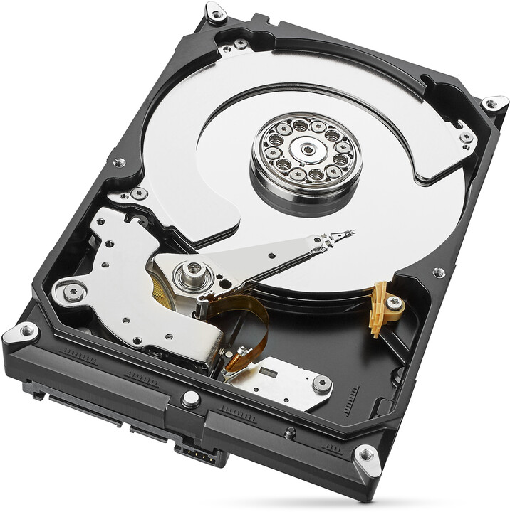 [OUTLET] Hard disk Seagate SkyHawk, 3.5" - 4TB