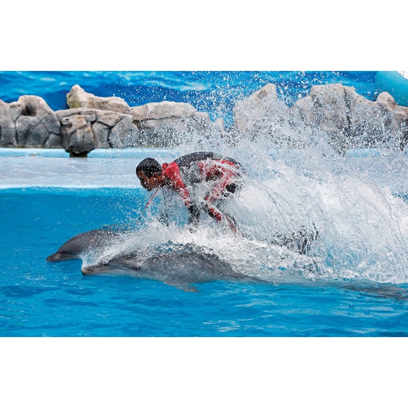 Canon EF 70-200mm f/4L IS II USM