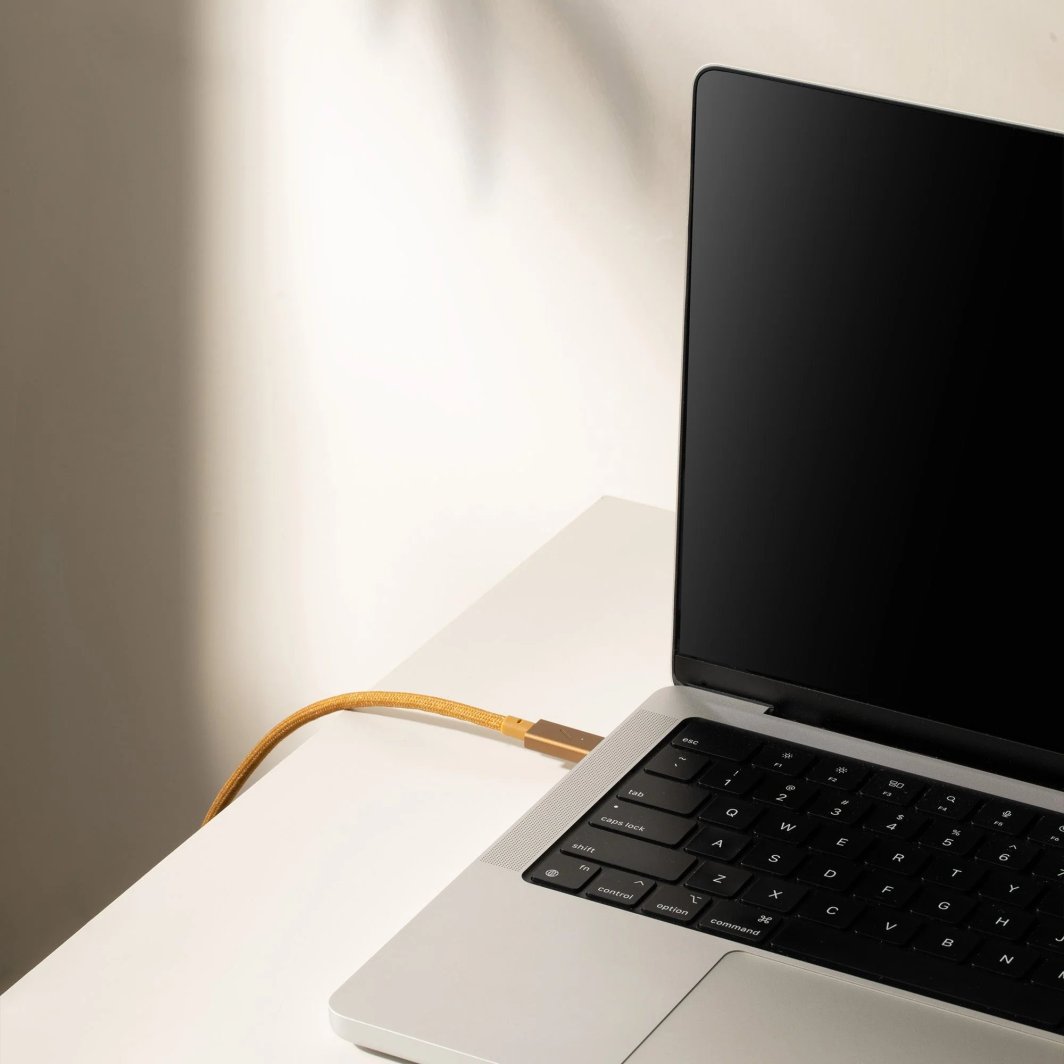 Кабел USB C во USB C Native Union Belt Cable Pro, 2.4 m, 240W