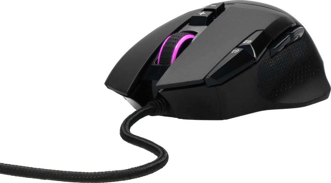 Maus Preyon Falcon, i zi