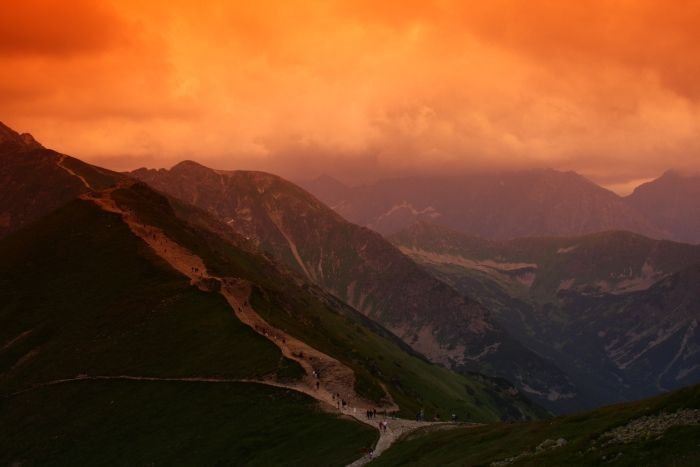 Filtër fotografik Seagull Tobacco Graduated, 55mm, i kafe