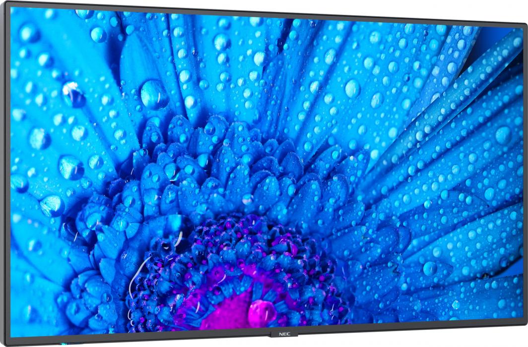 Monitor NEC MultiSync M491, 49'', UHD 4K, 60Hz, i zi