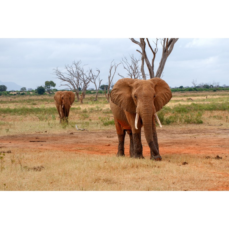 Sigma Sport 70-200mm f/2.8 DG OS HSM for Nikon F