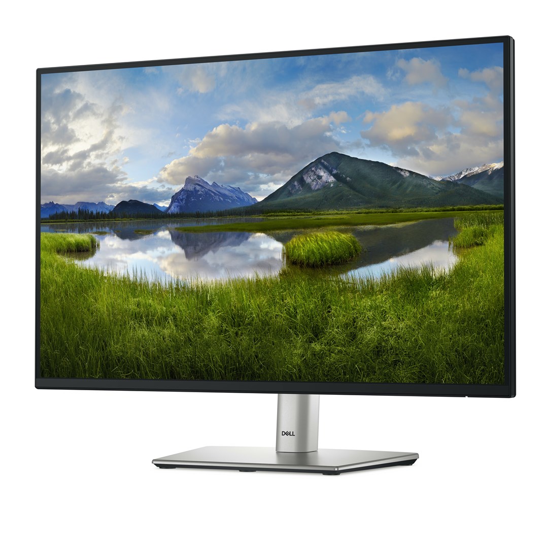 Monitor Dell P2425E, 24", WUXGA, 5ms, i zi