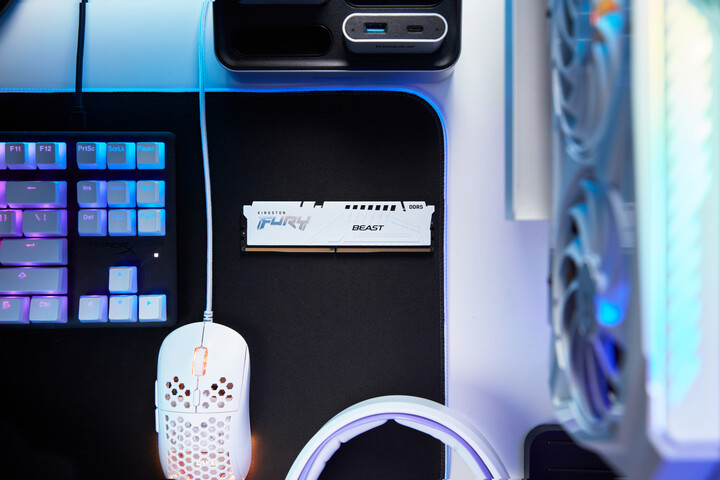 Module të memories Kingston Fury Beast White 64GB (2x32GB) DDR5 6000 CL40