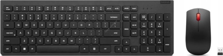 Set tastierë + maus Lenovo Essential Wireless Combo Gen2 (4X31N50746), i zi