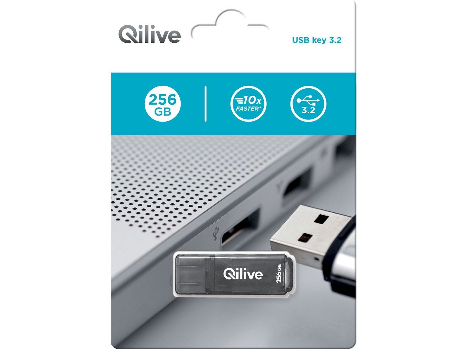 USB memorie Qilive A309558, 256GB, USB 3.0, gri