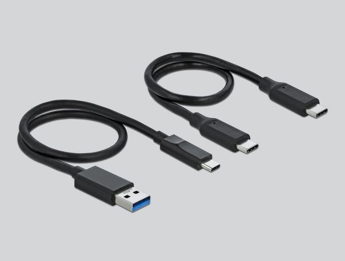 Dok stacion Delock 64000 M.2 PCIe NVMe, USB C 3.2 Gen 2, gri