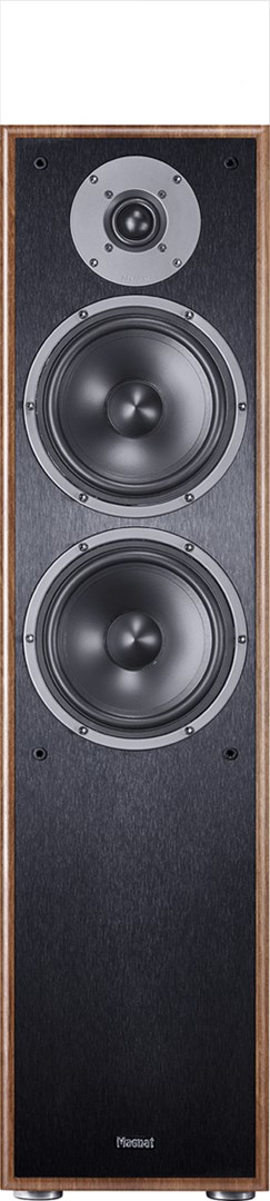 Kolonë zanore Magnat Monitor S80 ATM, Dolby Atmos, arre