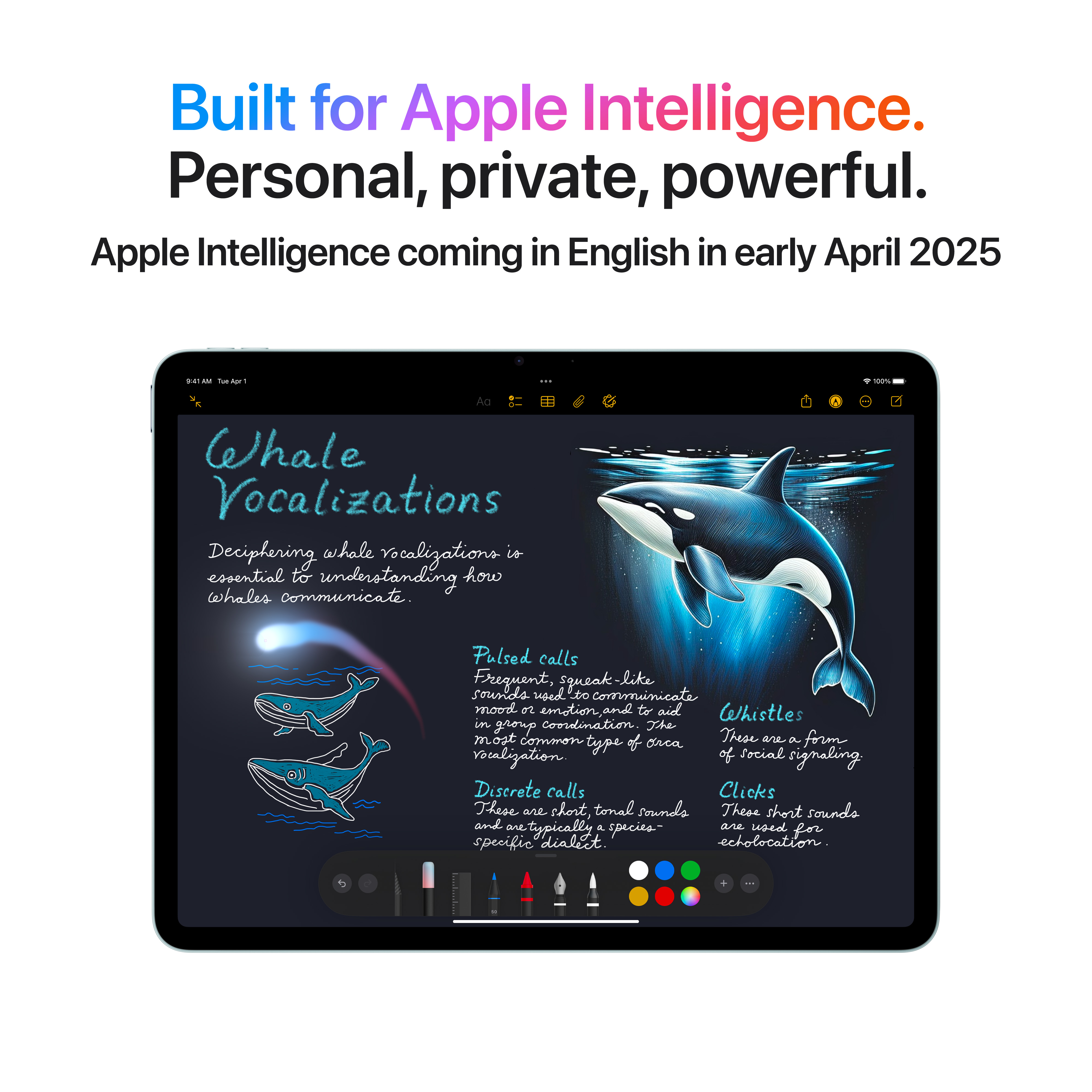 Apple iPad Air (M3), 13", Wi-Fi, 1TB, Blue