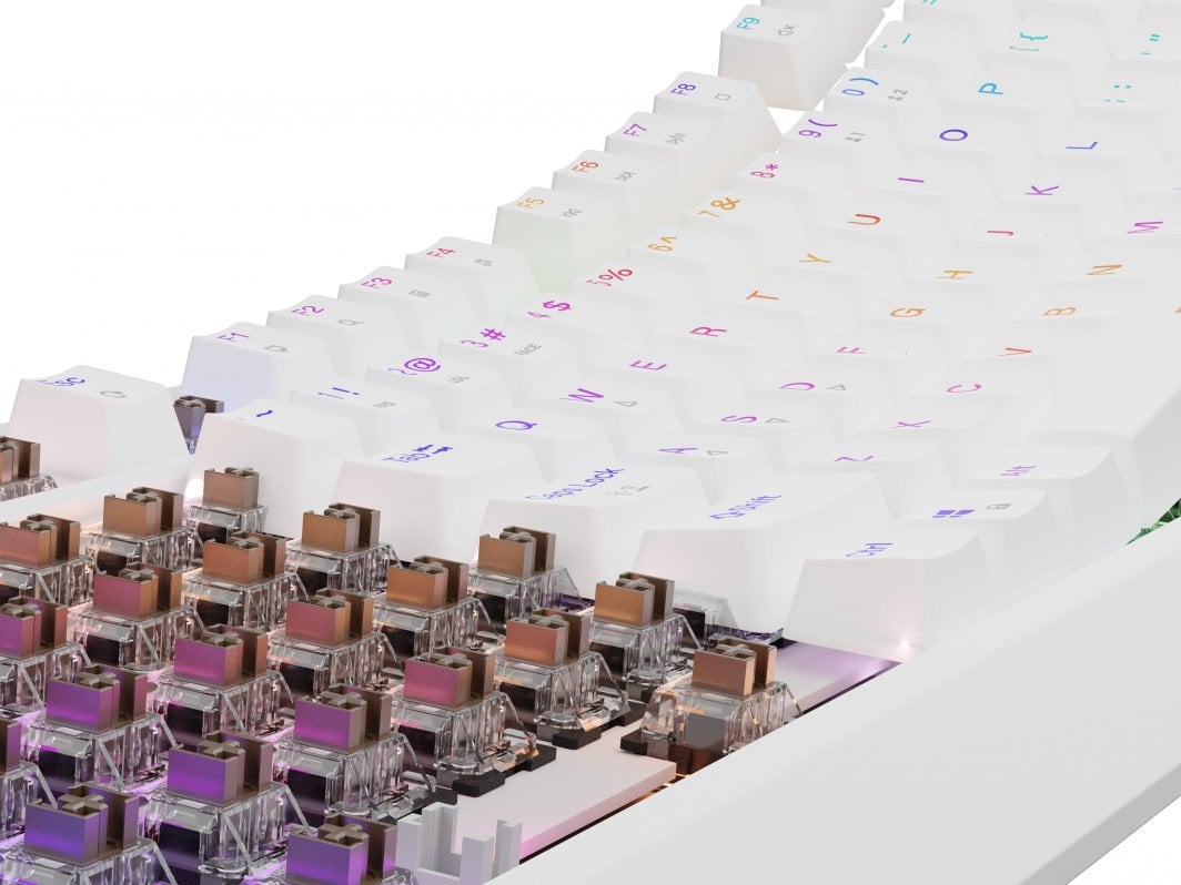 Tastierë Genesis Thor 230 TKL Outemu Brown, e bardhë