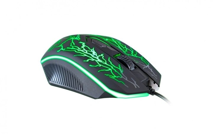 Maus C-TECH Tychon, i zi