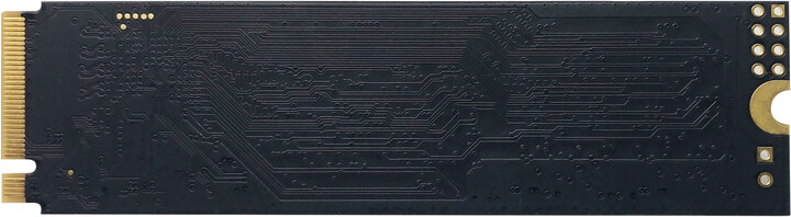 SSD диск Patriot P300, M.2, 128 GB