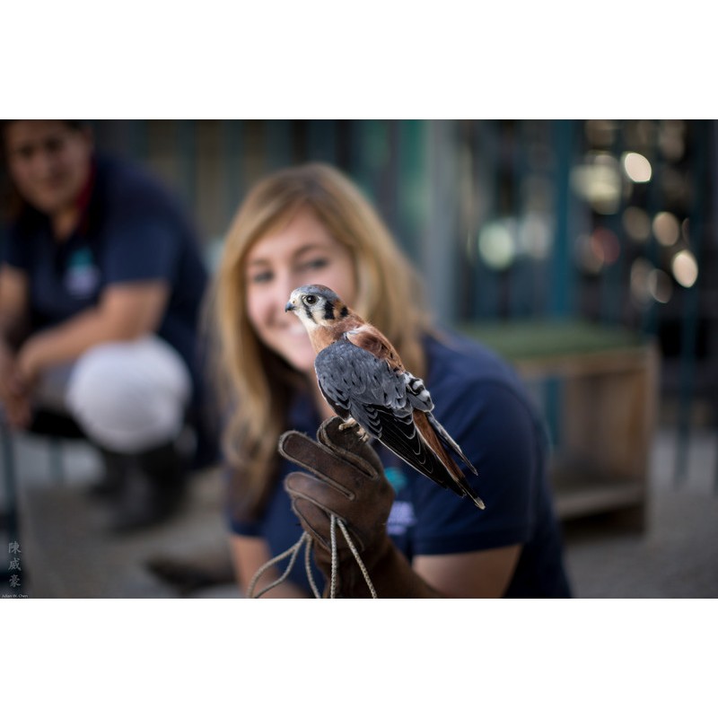 Canon EF 50mm f/1.2L USM