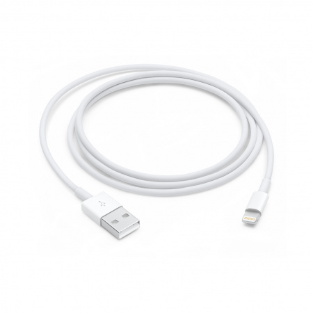 [OUTLET] Apple Lightning to USB Cable (1 m)