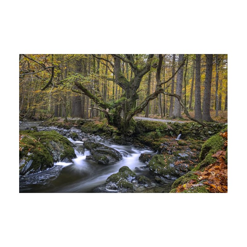 Canon EF-M 15-45mm f/3.5-6.3 IS STM