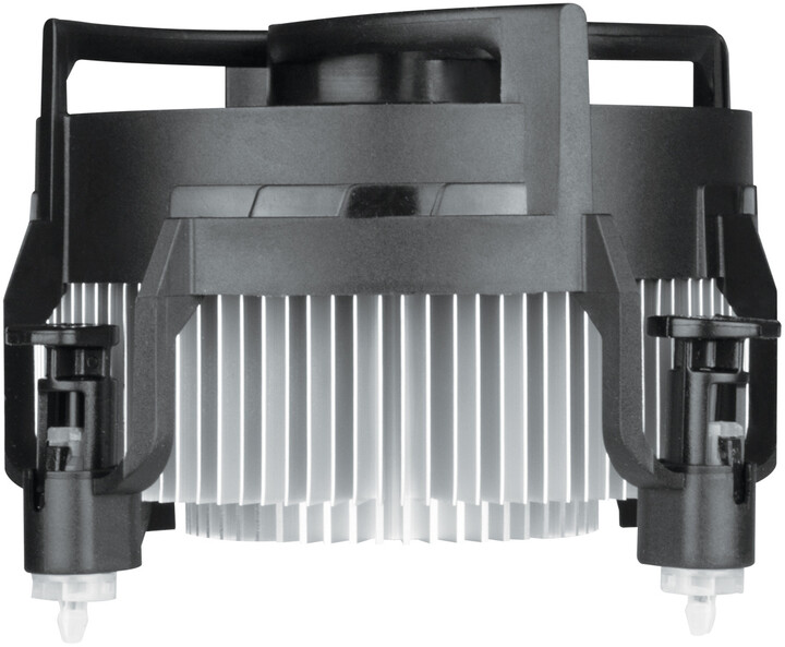 Ftohës Arctic Alpine 17