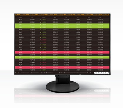 Monitor EIZO FlexScan EV2456, 24,1", IPS, FHD+, i zi