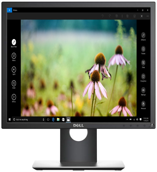 Monitor LED Dell P1917S Professional 19"