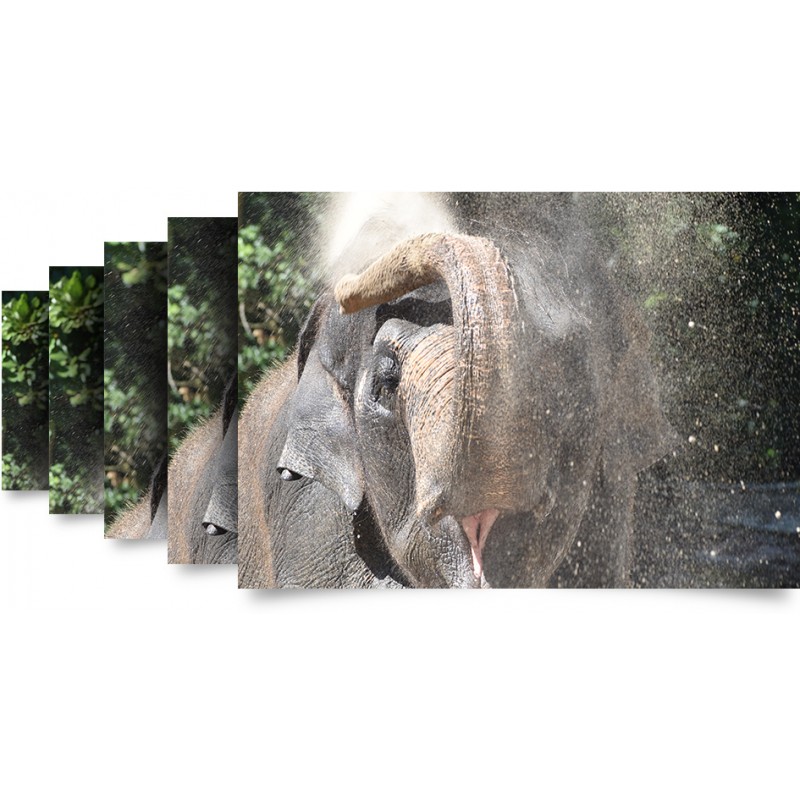 NIKKOR 70-300mm AF-P DX f/4.5-6.3G ED VR