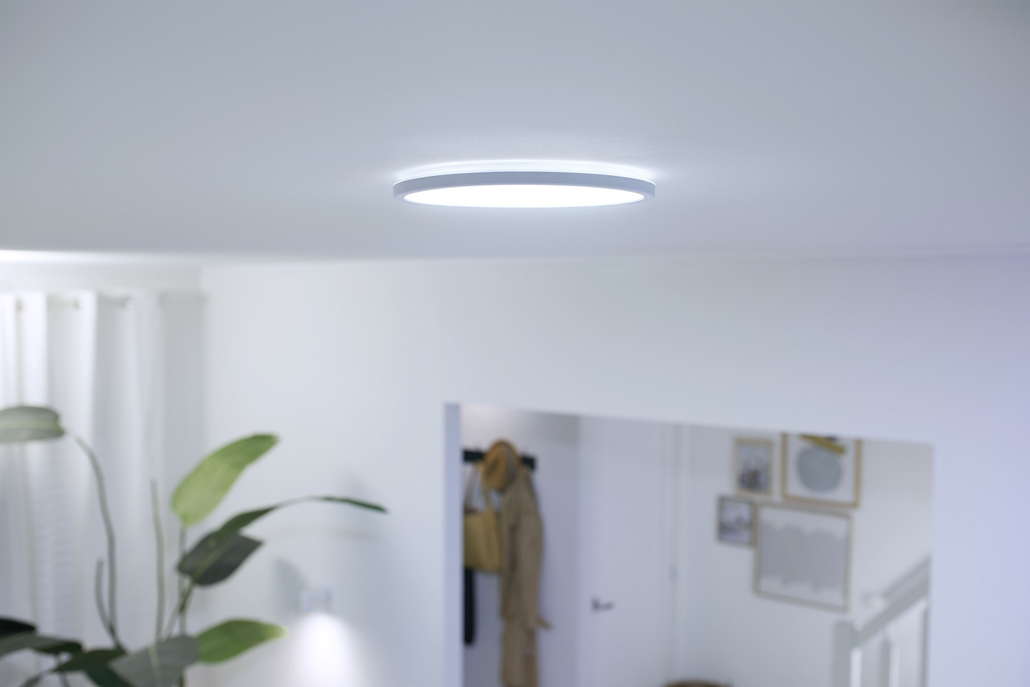 Plafonierë WiZ SuperSlim LED CCT, 29cm, smart, e bardhë