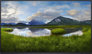 Monitor Dell P2425HE, 23.8", Full HD, i zi (pa bazë)