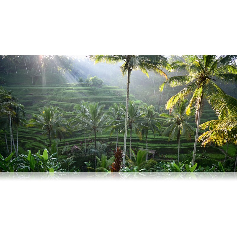 NIKKOR 24mm AF-S f/1.8G ED