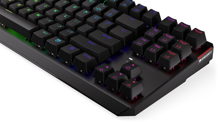 Tastierë Endorfy Thock TKL Blue, Kailh Blue, US, e zezë