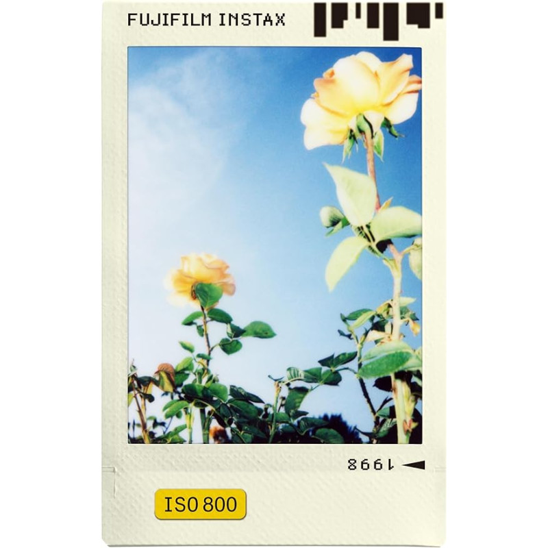 Instax Mini Film Photo Slide