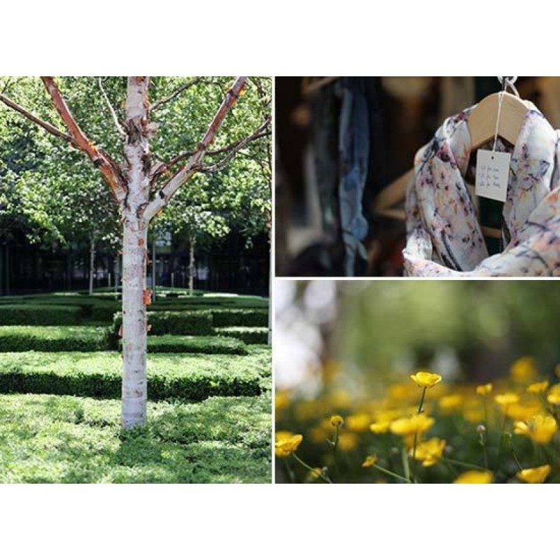 Canon EF 50mm f/1.8 STM