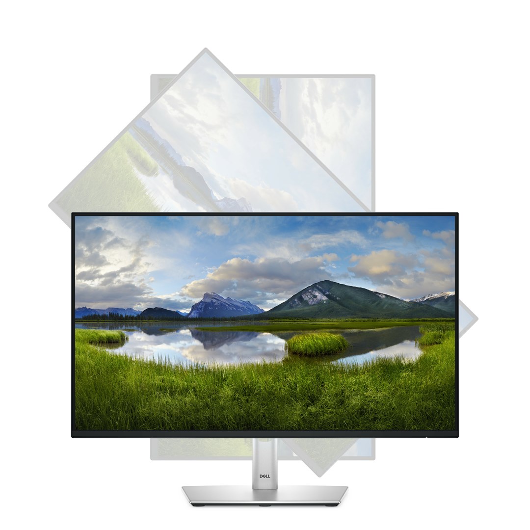 Monitor DELL P2425H, 23.8”, IPS, 100Hz, i zi