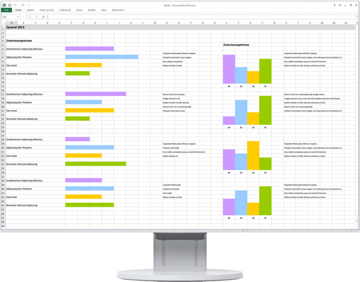 Monitor EIZO EV2456-WT - LED 24"