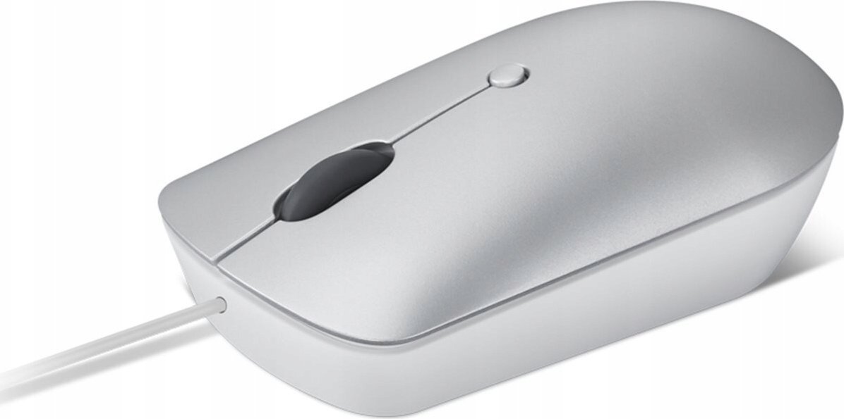 Maus Lenovo 540 USB C Wired Compact, 2400 DPI, gri cloud