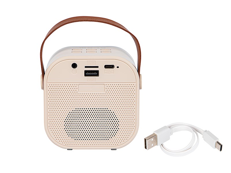 Altoparlant Bluetooth Bluetooth KARAOKE RGB 10W