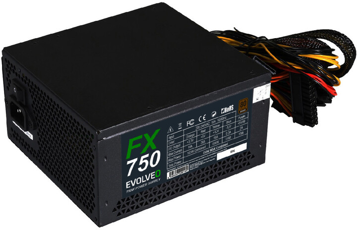 Burim energjie Evolveo FX 750 - 750W, bulk 2