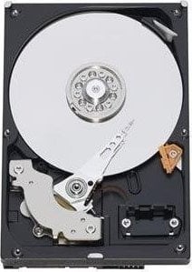 Disk HDD WD Blue, 1TB, 3.5" SATA III