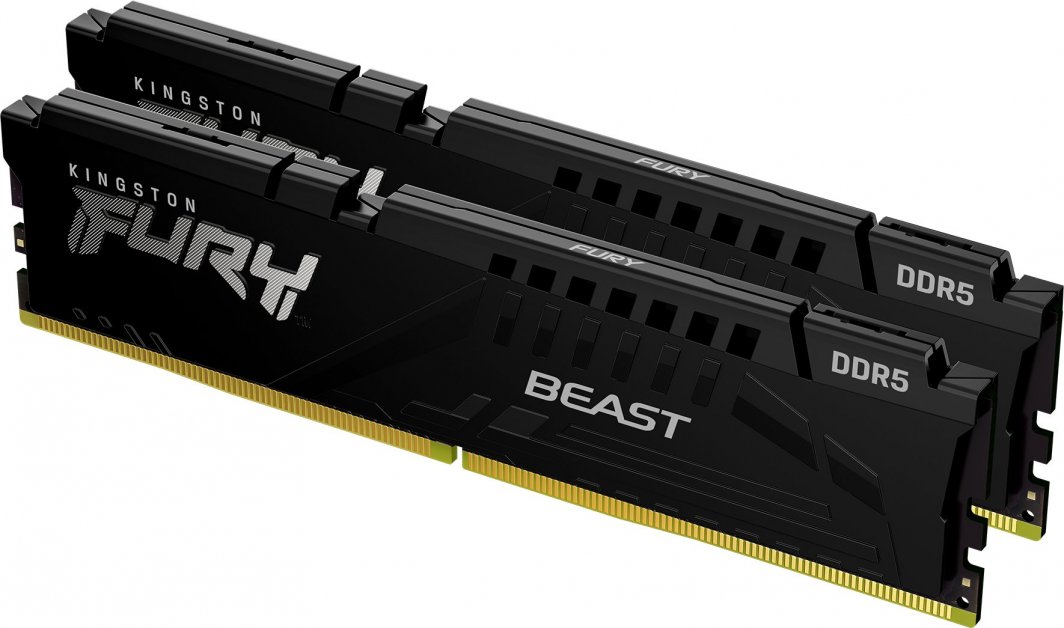 Memorie RAM Beast, 16 GB DDR5 6000MHz, CL36