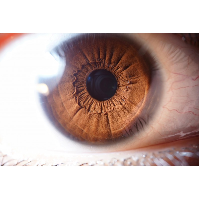 Laowa 60mm f/2.8 Ultra-Macro për Sony E